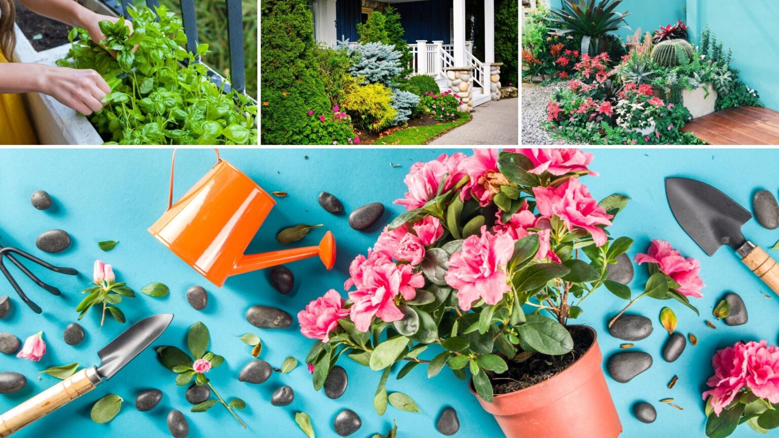 garden ideas with pots and gravel
