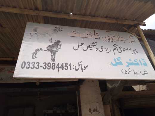 gul veternary clinic.. in Karachi City, Sindh - Free Business Listing