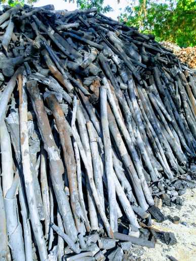 my business wood charcoal.. in Layyah, Punjab - Free Business Listing