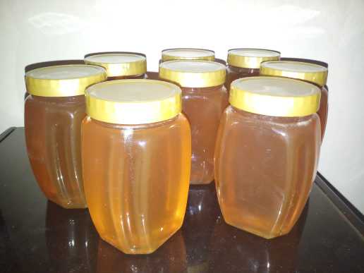 Pure Organic Honey.. in Swabi, Khyber Pakhtunkhwa - Free Business Listing