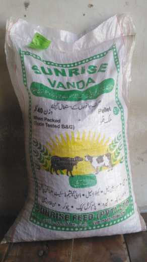 Sun Rise Vanda.. in Pakistan - Free Business Listing