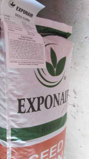 EXPONAIR SEED.. in Pakistan - Free Business Listing