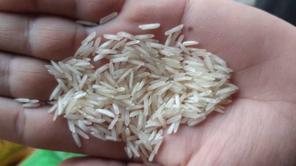 Al-Qasim rice traders.. in Lahore, Punjab - Free Business Listing