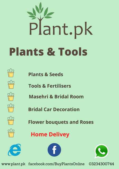 Plant.pk.. in Lahore, Punjab - Free Business Listing