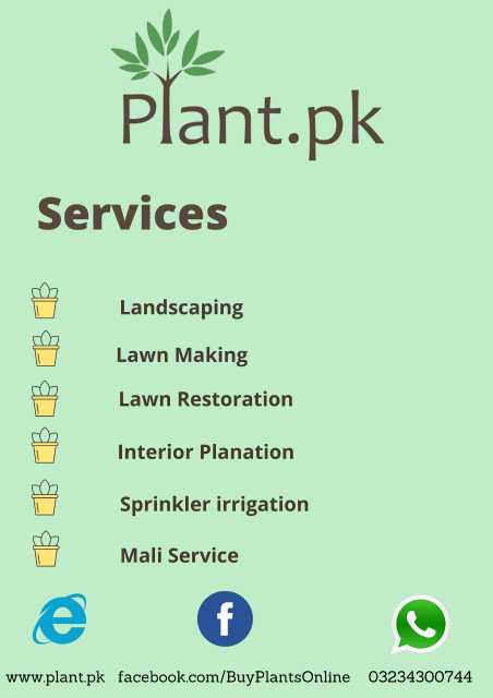 Plant.pk.. in Lahore, Punjab - Free Business Listing