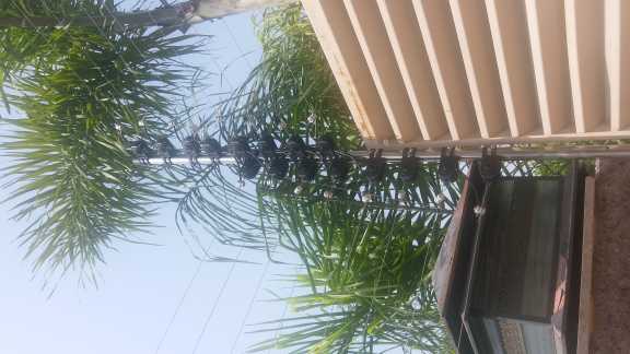 CCTV  cameras.. in Lahore, Punjab - Free Business Listing
