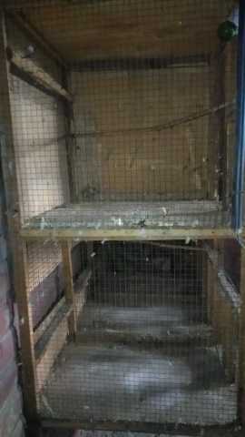 cage sale.. in Lahore, Punjab - Free Business Listing