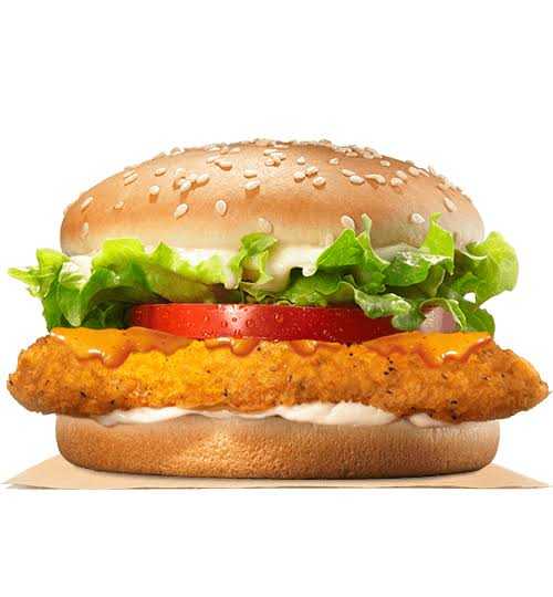 chicken fillet cheese bur.. in Lahore, Punjab - Free Business Listing