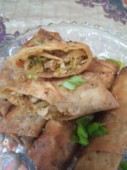 VEGETABLE ROLL All FORZEN.. in Karachi City, Sindh - Free Business Listing