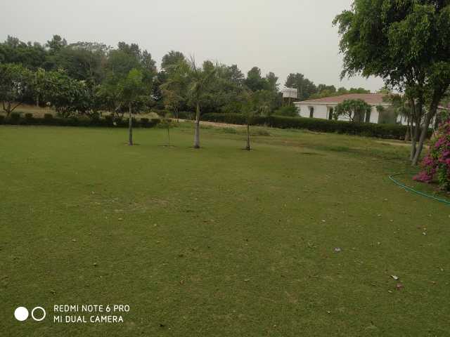 Nature Valley Farm,s.. in Bhondsi, Haryana 122102 - Free Business Listing