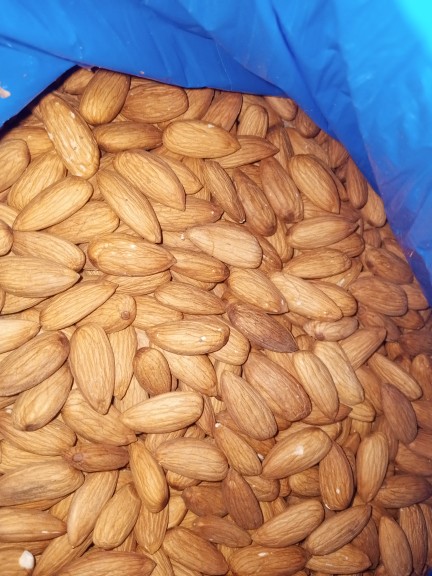 American badaam giri - ا.. in Township Block 2 Twp Sector D 1 Lahore, Punjab - Free Business Listing