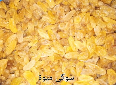 Sogi - سوگی میوہ .. in Township Block 2 Twp Sector D 1 Lahore, Punjab - Free Business Listing