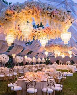BEST CATERERS IN CHANDIGA.. in Chandigarh, 160017 - Free Business Listing