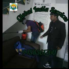 Termite Control In Gurgao.. in Gurugram, Haryana 122051 - Free Business Listing