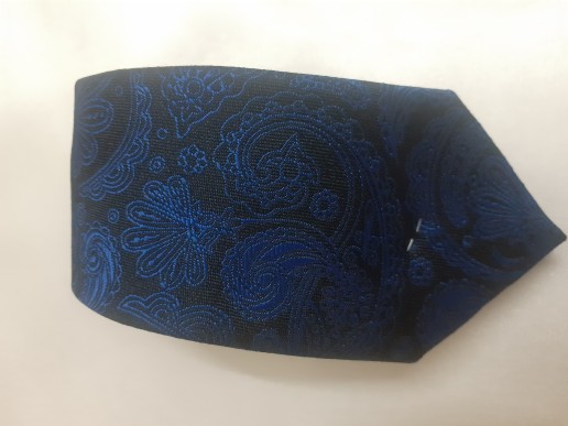 fancy jaicard necktie.. in Delhi, 110032 - Free Business Listing