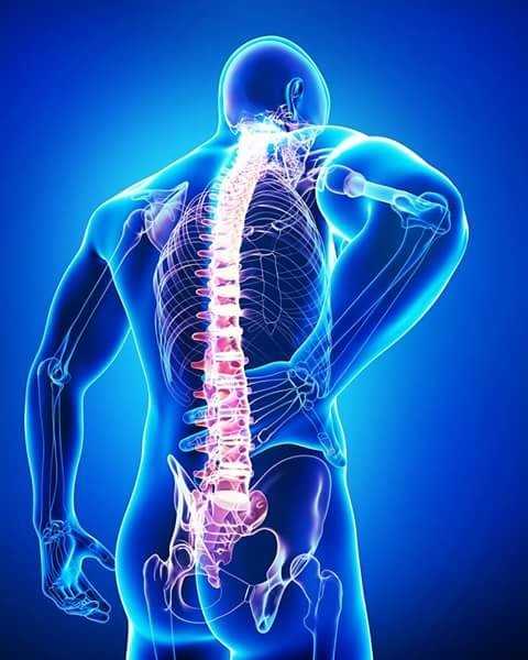 joints pain treatment cen.. in Chandigarh, Haryana 160101 - Free Business Listing