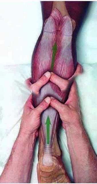 joints pain treatment cen.. in Chandigarh, Haryana 160101 - Free Business Listing