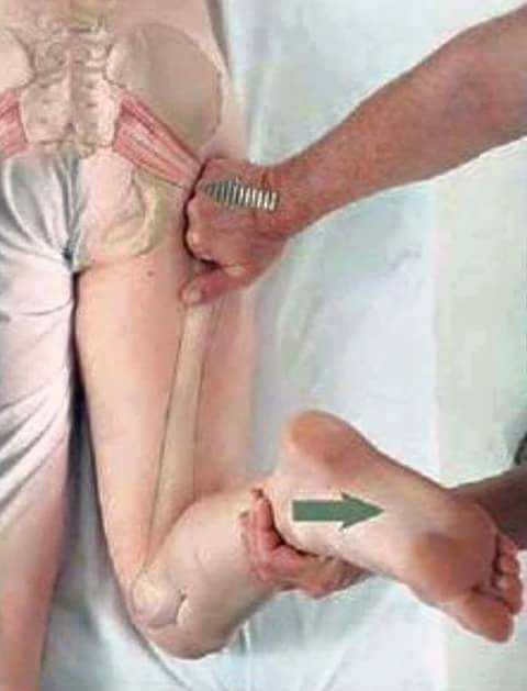 joints pain treatment cen.. in Chandigarh, Haryana 160101 - Free Business Listing