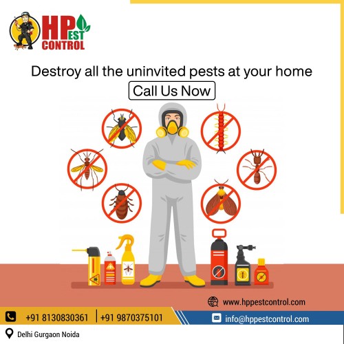Termite control pest cont.. in New Delhi, Delhi 110059 - Free Business Listing