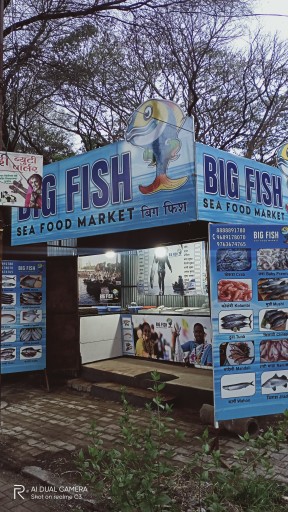 Seafood & Chicken Center.. in Pune, Maharashtra 411006 - Free Business Listing