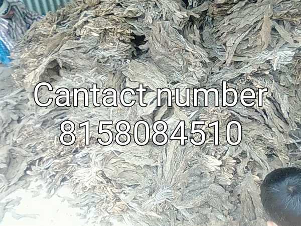 Tobacco wholsale shop.. in Danga, West Bengal 736135 - Free Business Listing