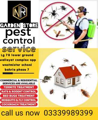 Termite control 100% resu.. in Phase 7 Islamabad, Islamabad Capital Territory - Free Business Listing