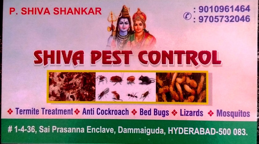 Shiva Shankar pest contro.. in Hyderabad, Telangana 500083 - Free Business Listing