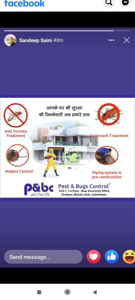 pest control service in C.. in Lalru, Punjab 140501 - Free Business Listing