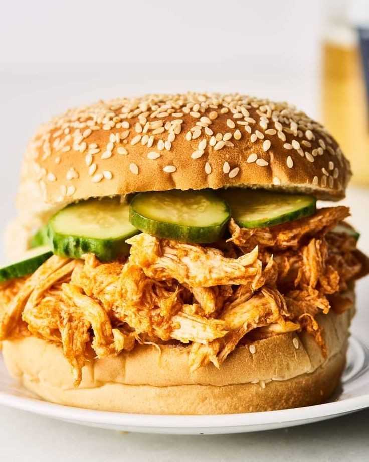 SPECIAL CHICKEN BURGER.. in Lahore, Punjab 54000 - Free Business Listing