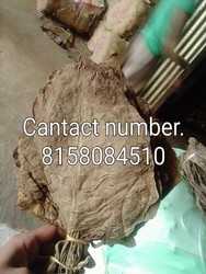 Tobacco wholesale shop.. in Danga, West Bengal 736135 - Free Business Listing